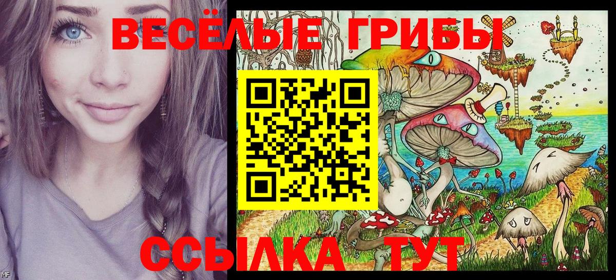 купить  сайты  Вход с VPN  Ишим  Псилоцибиновые грибы прущие грибы 