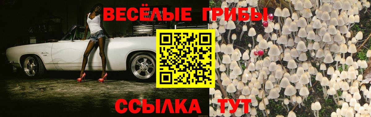 Псилоцибиновые грибы Psilocybine cubensis Ишим